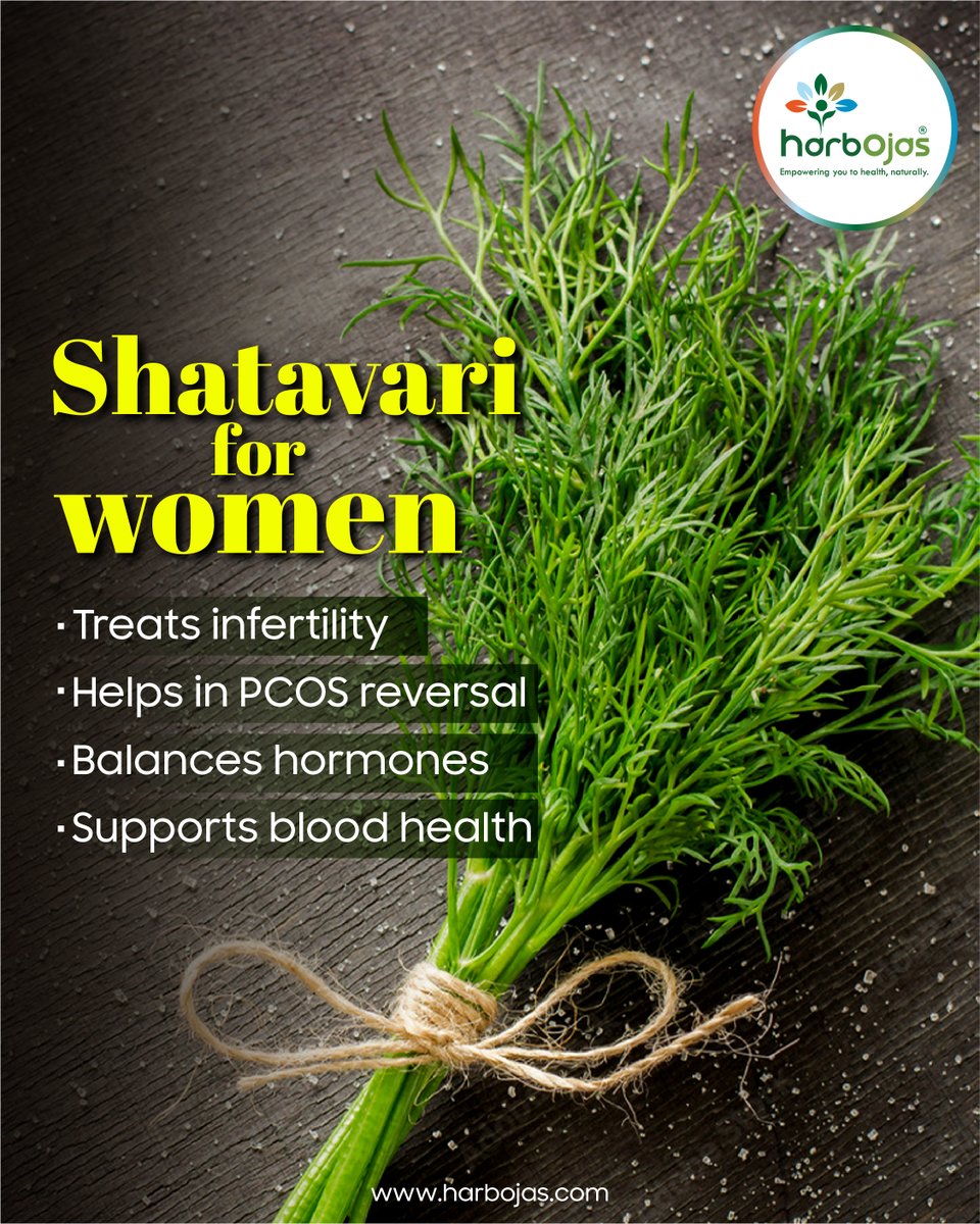 harbojas_in's tweet photo. Shatavari is more than just a targeted treatment for specific illnesses - it also has several side benefits that can help you feel better in a variety of ways. 

#harbojas #naturopathy #healthyliving  #naturalremedies #naturopathyforliving #shatavari #churna https://t.co/eSgEvP41vW