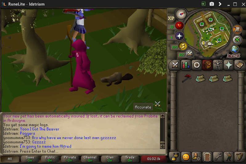 Soroside's tweet photo. Yay my first ever pet in OSRS https://t.co/g7yxXDOXPC