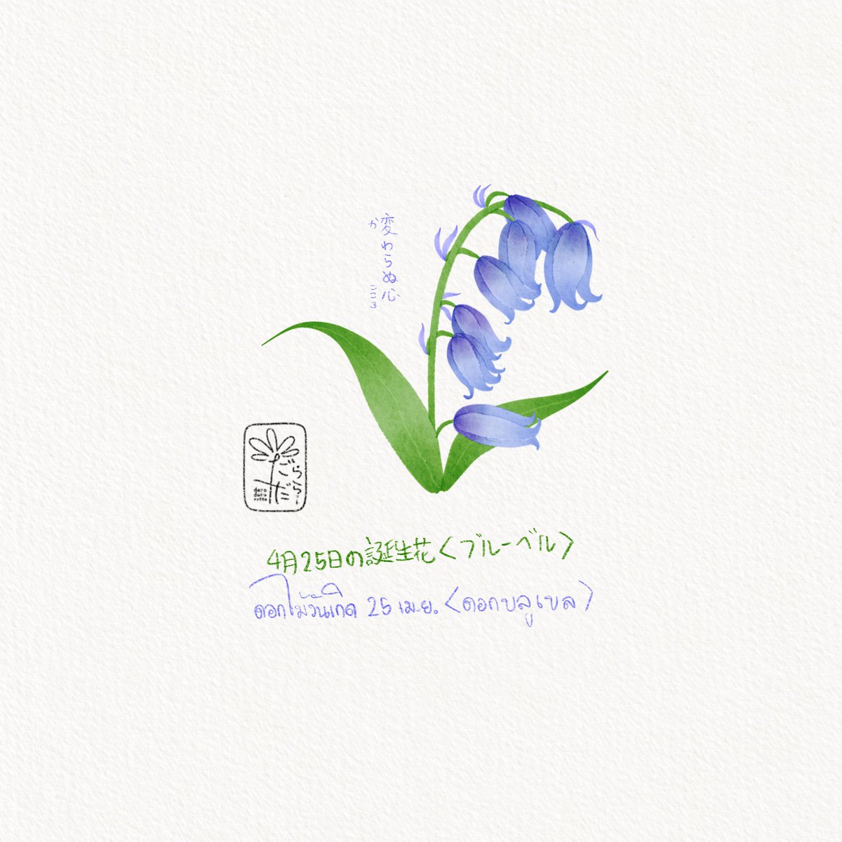 daradaRatto17's tweet photo. ดอกไม้วันเกิดประจำวันที่ 25 เมษายน
“ดอกบลูเบล”
ญปทับศัพท์ว่า บุรูเบะรุ
ภาษาดอกไม้คือ หัวใจที่ไม่เปลี่ยนแปลง https://t.co/yOAks3MMpU