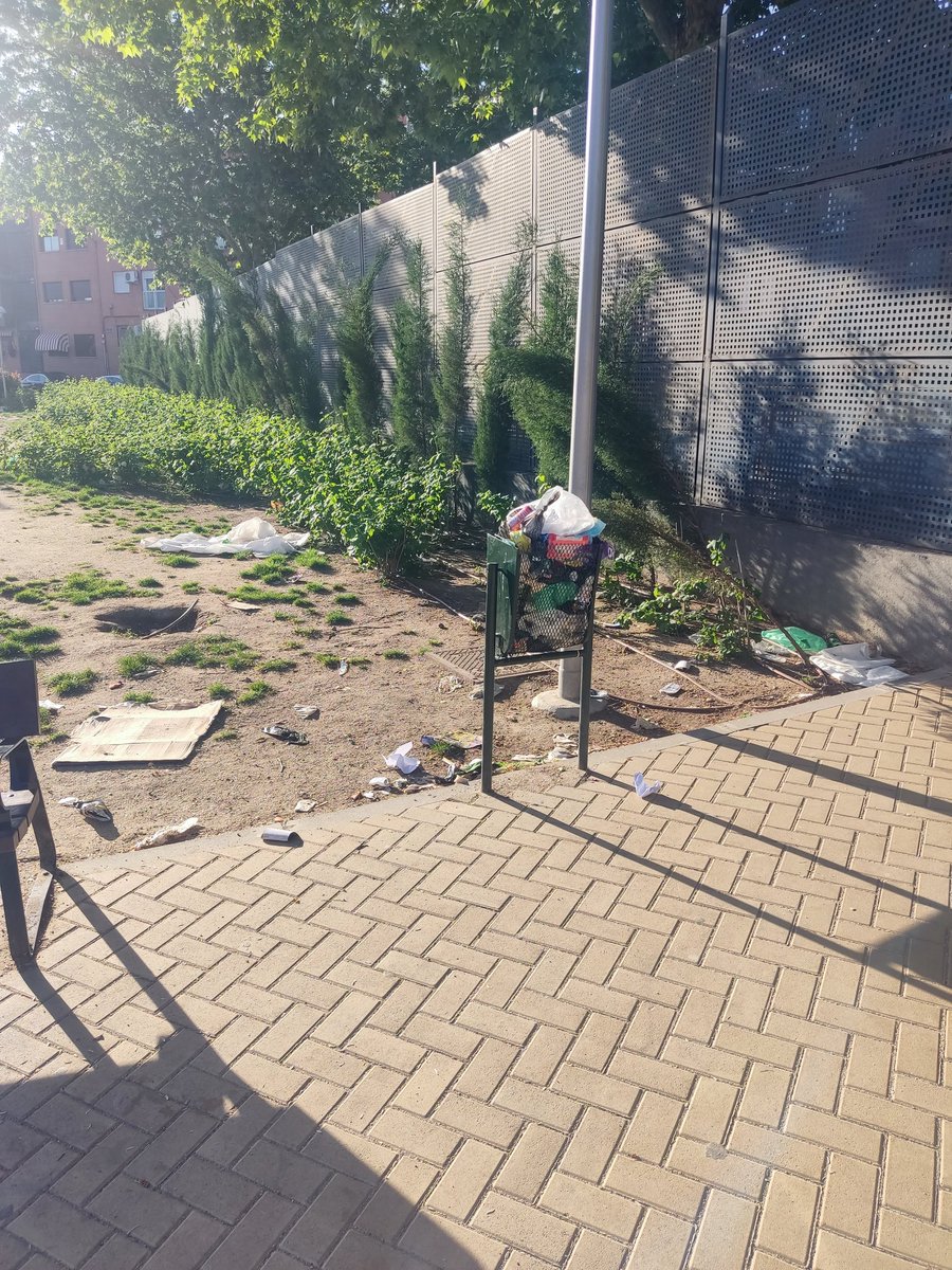 Maria Gallego tweet media