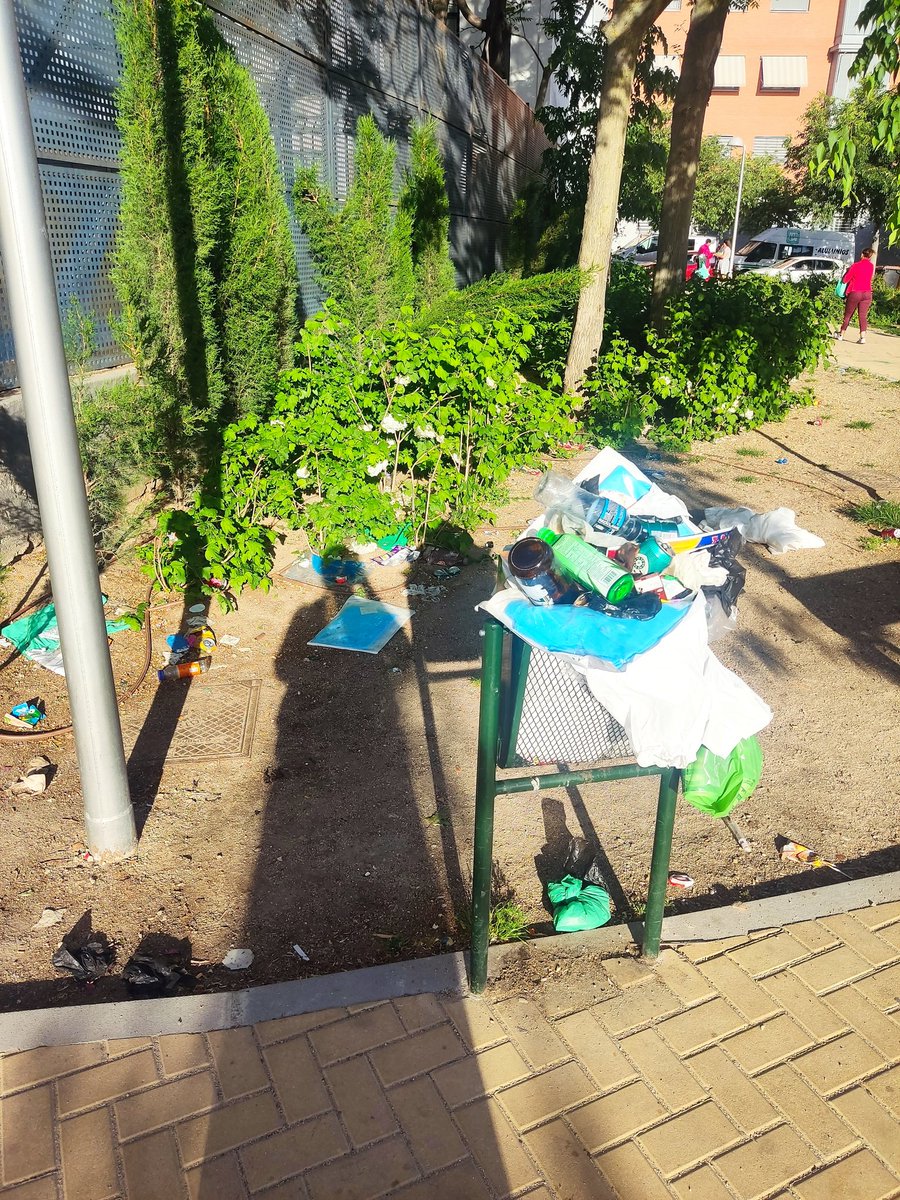 Maria Gallego tweet media