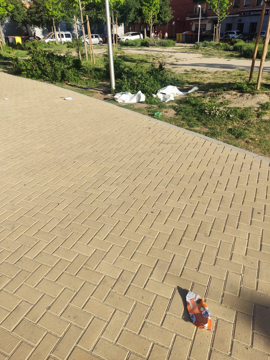 Maria Gallego tweet media