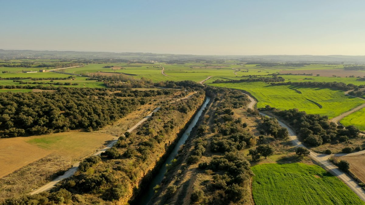 Avui mor Ponent, avui tanca el canal d'Urgell per la falta d'aigua a Catalunya. Els primers perjudicats els que treballen la terra. El món al revés.

Fotografies fetes per <a href="/lamira/">LA MIRA</a> 

lamira.cat/visions/1626/e…