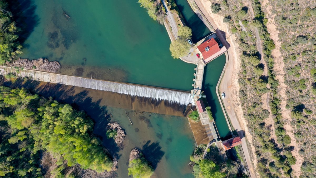 Carles Rabadà tweet media