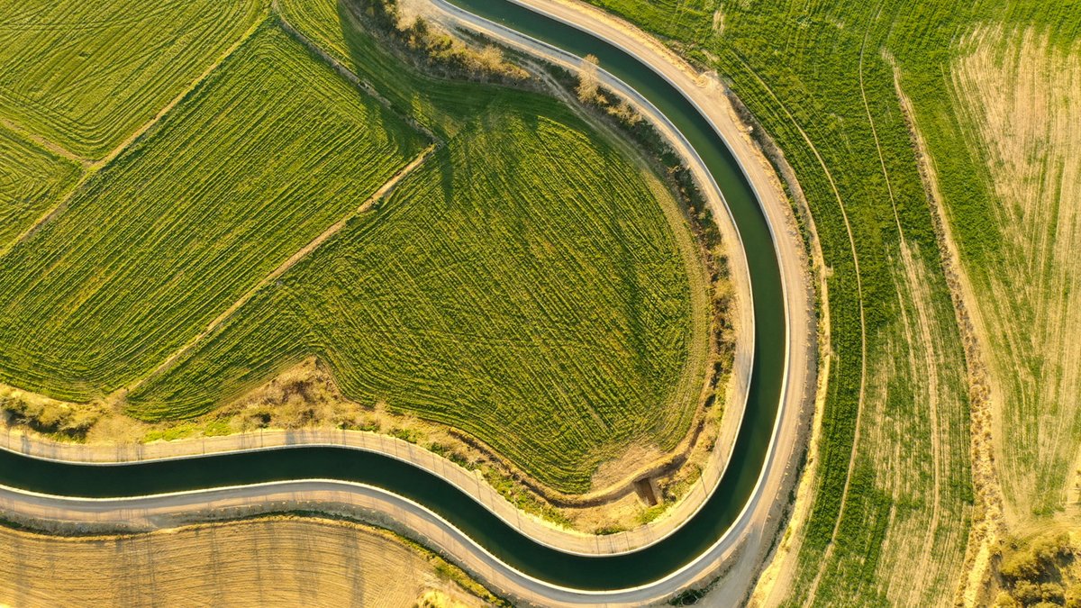 Carles Rabadà tweet media