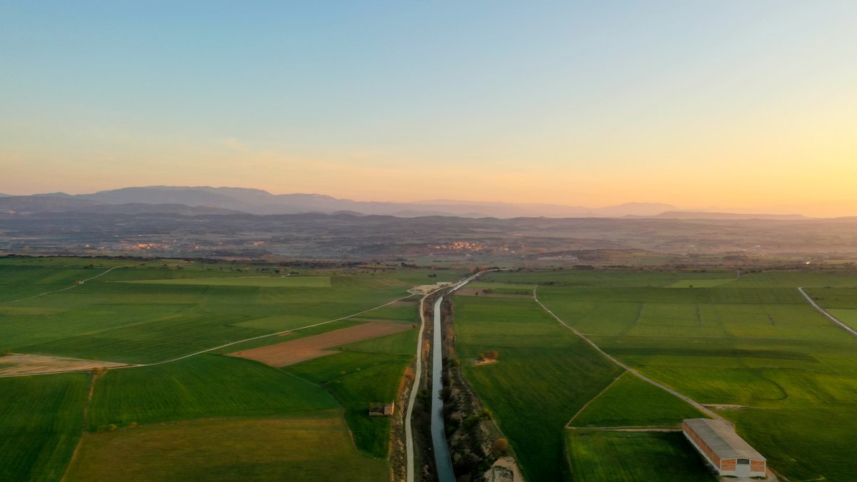 Carles Rabadà tweet media