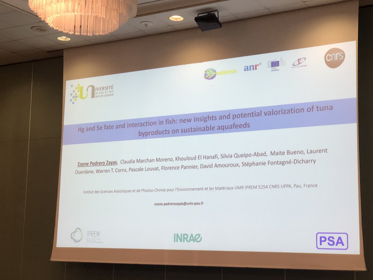 MerfishE's tweet photo. Exciting news! Dr. Zoyne Pedrero Zayas from @universite_uppa is presenting their latest research on mercury and selenium fate and interaction in fish at #ISOFOOD in Portoros, Slovenia this researchwas conducted with the @MerfishE research team. https://t.co/A2feldBW7d