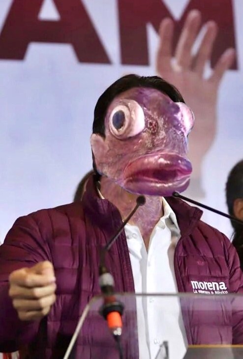 CABALLERO_CUER's tweet photo. @mario_delgado @lopezobrador_ Lamewebos https://t.co/TzbrjiEJb1