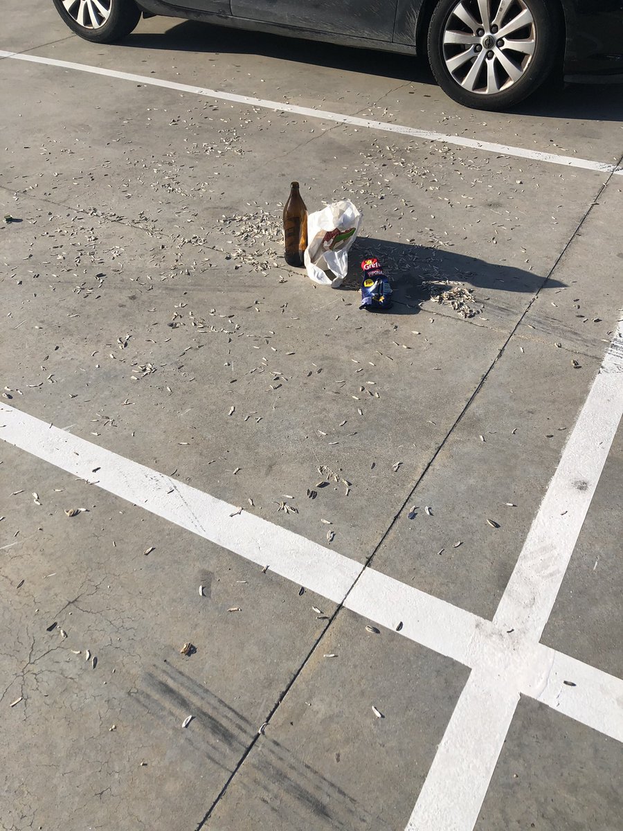 Ya hay que ser cerdo/a para zamparte una bolsa de pipas con tu birra y dejarlo todo tirado, en lugar de meterlo todo en la bolsa donde lo has traído y llevarlo a unos cubos que tienes a menos de 100 metros.