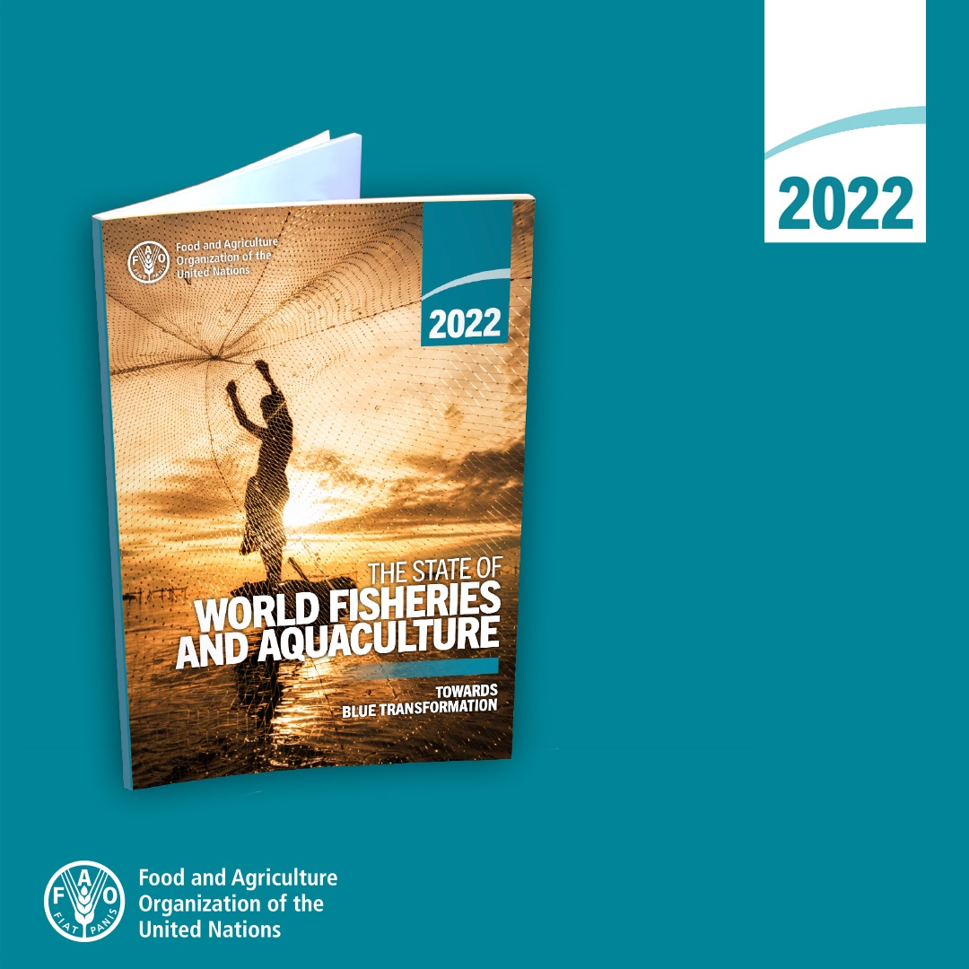 For years, <a href="/FAOFish/">Fisheries & Aquaculture</a>'s global stock analyses have guided global policy formulation.

Our latest effort, #SOFIA2022, presents #BlueTransformation, a vision to advance #aquaticfood production to ensure sustainability &amp; resilience.

Check it out 👉 bit.ly/3AzZQsh