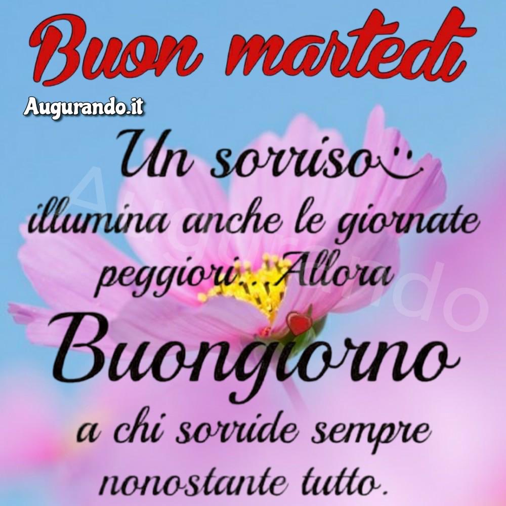 Maschere1's tweet photo. https://t.co/1j2U3oJAGG