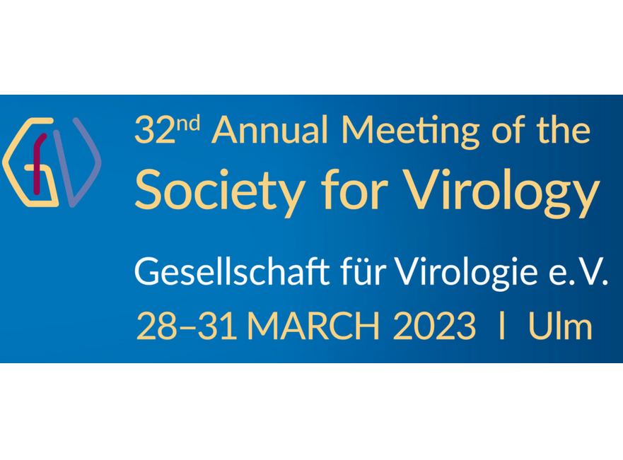 crc1279's tweet photo. Happy to congratulate our members on their representation at the 32nd Annual Meeting of the Society for Virology 
https://t.co/IJOThs1jAW https://t.co/RZnDYoiSAm