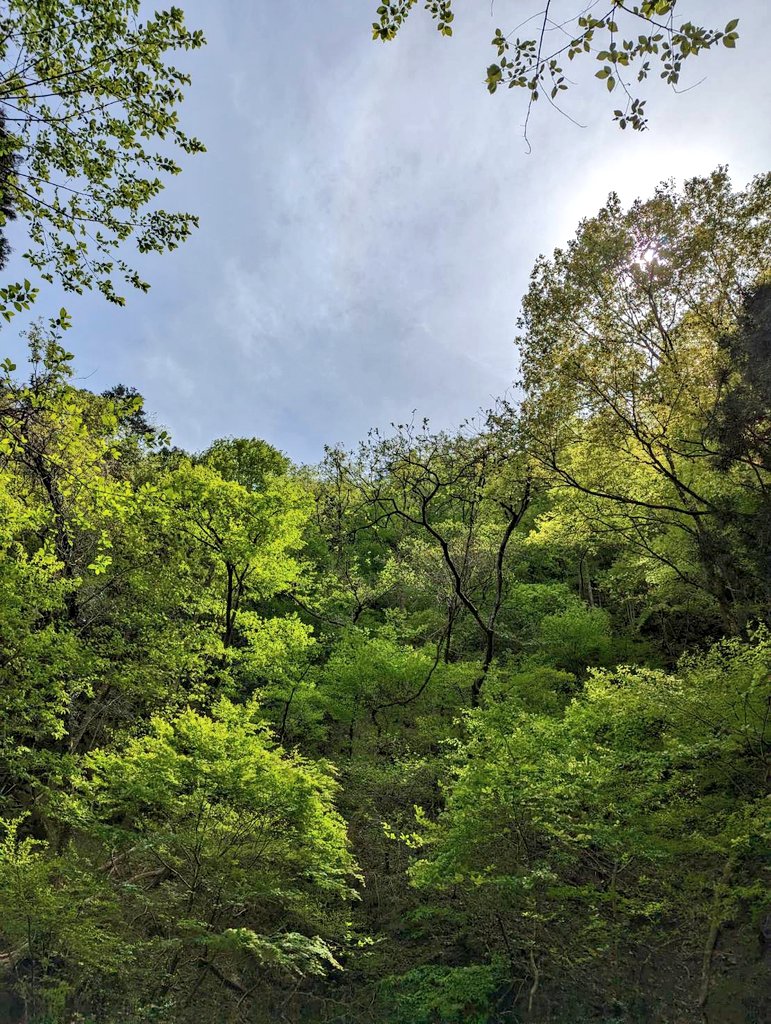 山はまだ、チョット寒い。