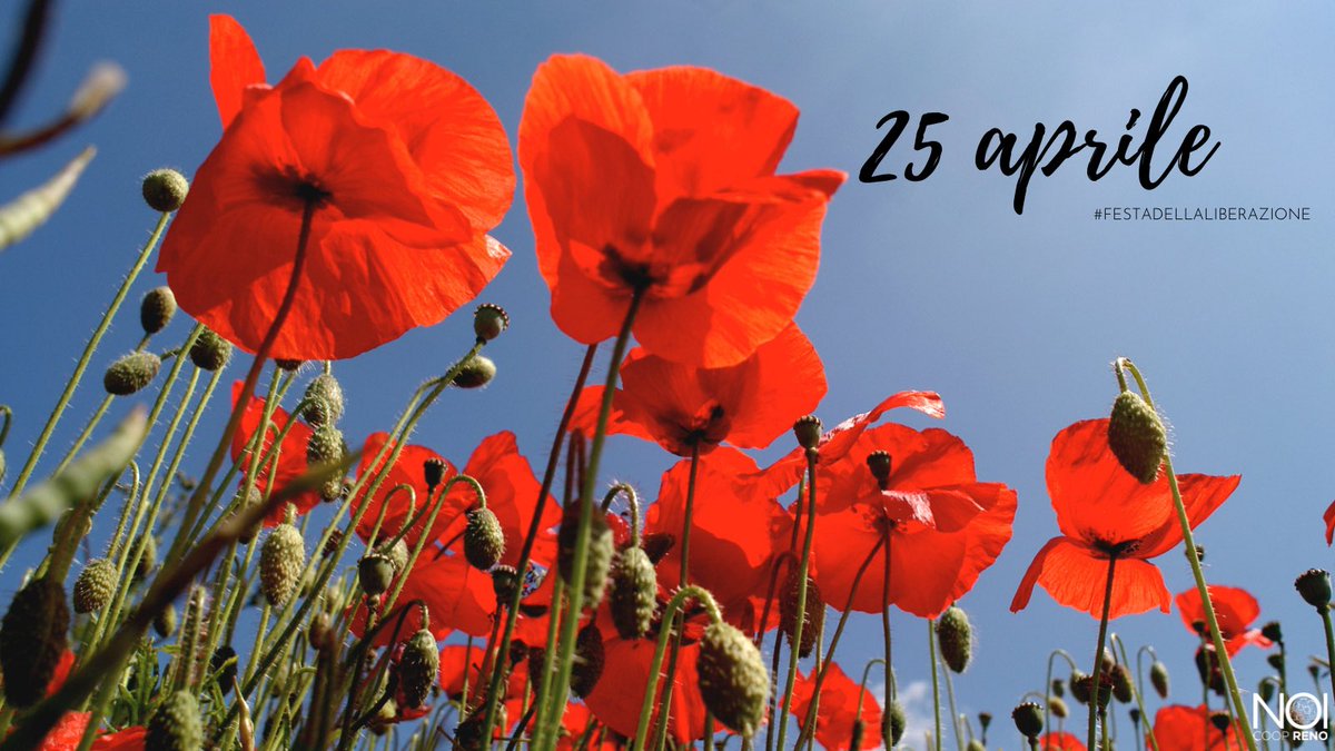 «Ricordare è dimostrazione che, la memoria vince. Ricordare è importante per ribadire "MAI PIÙ" all'odio, al pregiudizio, al razzismo, all’estremismo e all’indifferenza. La libertà è il bene più prezioso che abbiamo: oggi come ieri».

#25aprile #festadellaliberazione #noicoopreno