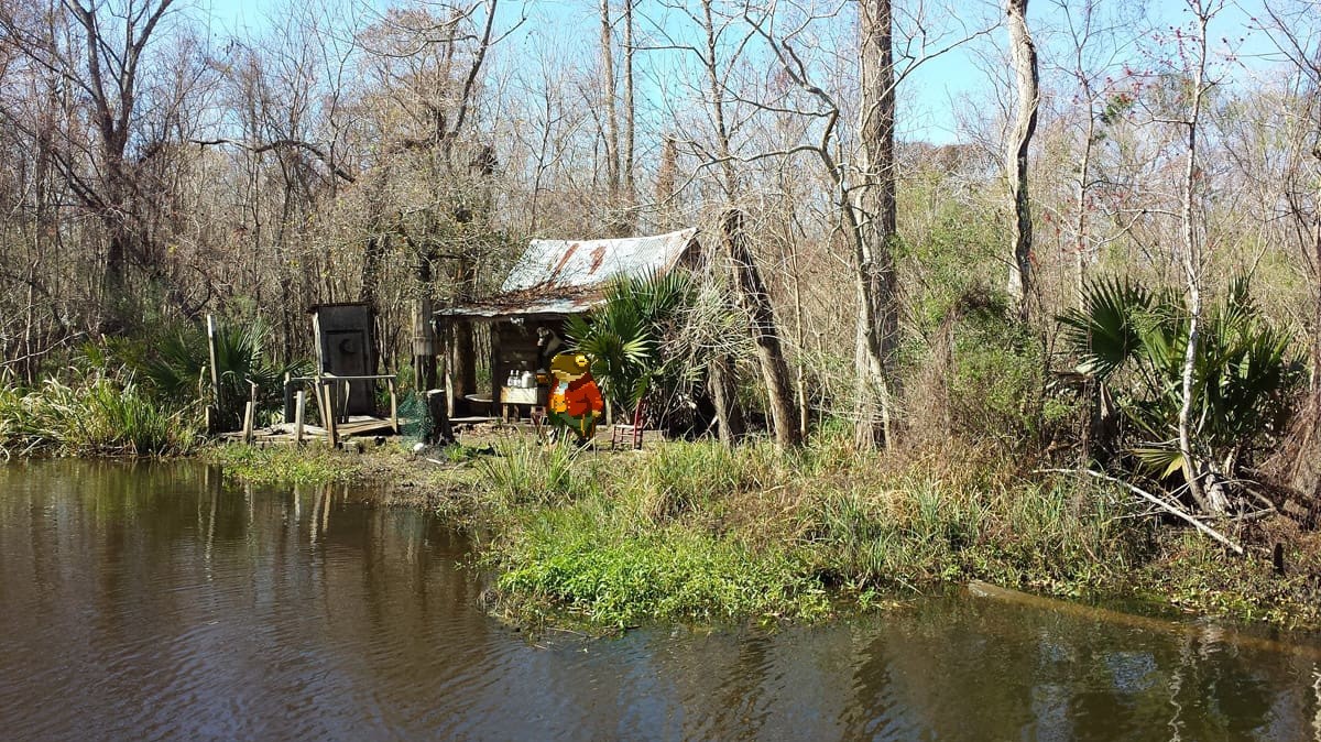 ToadsOfTheBayou's tweet photo. ๐ธDid you know:
Toads don't spend nearly as much time in fully aquatic environments as their friends, the frogs. They prefer moist areas underneath rocks, wood and tree roots. Sounds like the Bayou is perfect for them!๐ฆ๐๏ธ๐
#ToadallyTuesday #ToadsOfTwitter https://t.co/zRBt5RSm28