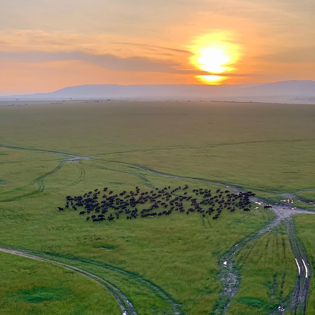 Budget Holiday Safaris (@bholidaysafari) on Twitter photo 