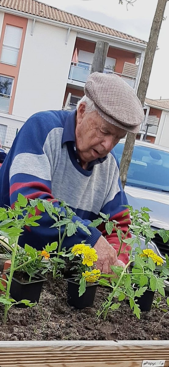 Senioriales en ville du Teich tweet media