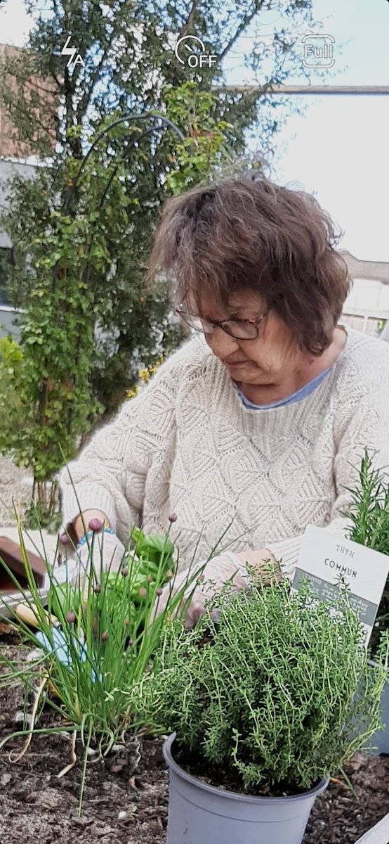 Senioriales en ville du Teich tweet media