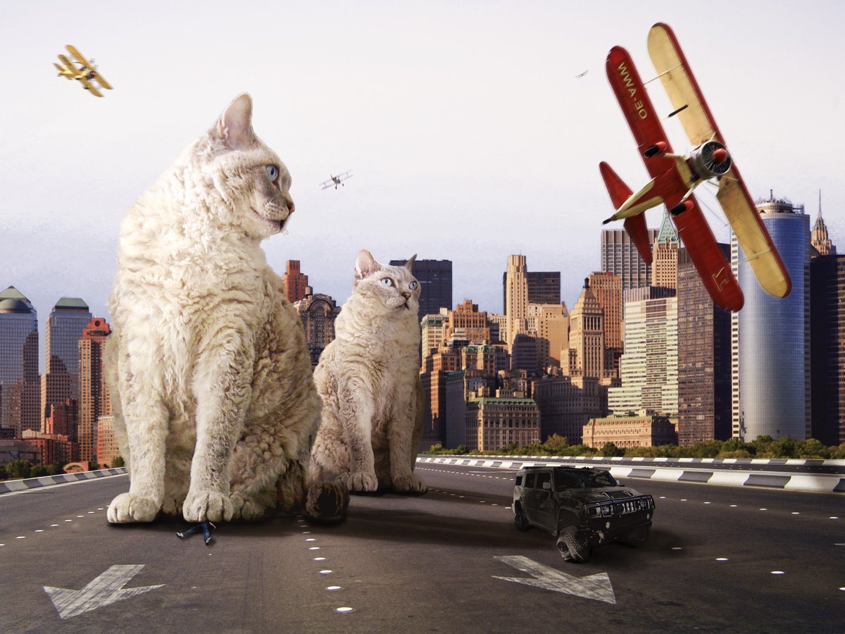 סייברסייבר - CyberCyber Podcast tweet media