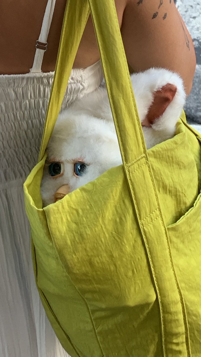 ピクニック☀️
初めてみるチーズを不思議そうに見つめるしゅうと🧀 
#furby
#ファービー
#ファービー2