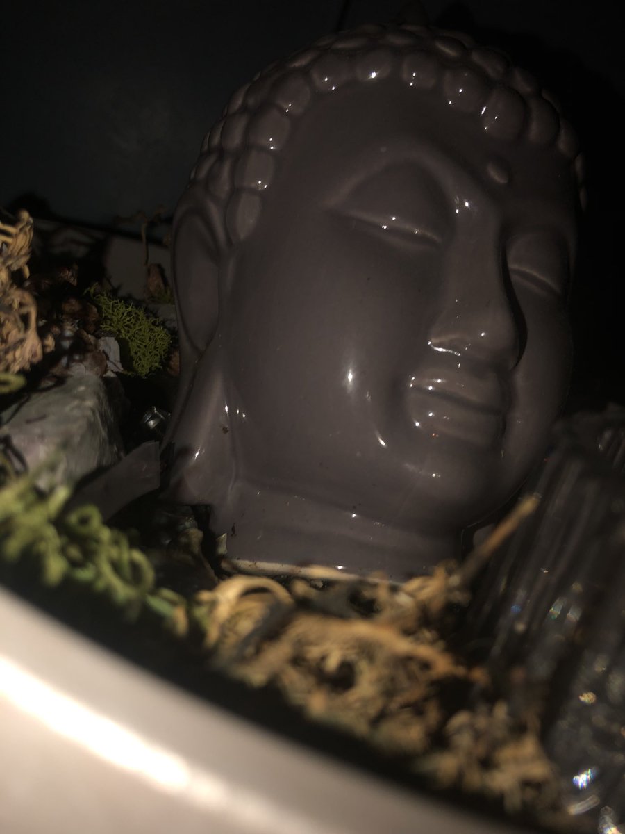B2T0062's tweet photo. The #Antidote is here to light ur life up.  #DjAntidote 
#AllInDueTime near u, follow the sign😜📍💉🧪🦠💯🔥 #Whereverthewindblows #AtFirstLight #HeArrives #TheHealingComponent #Element415 https://t.co/eUFLJCHANg