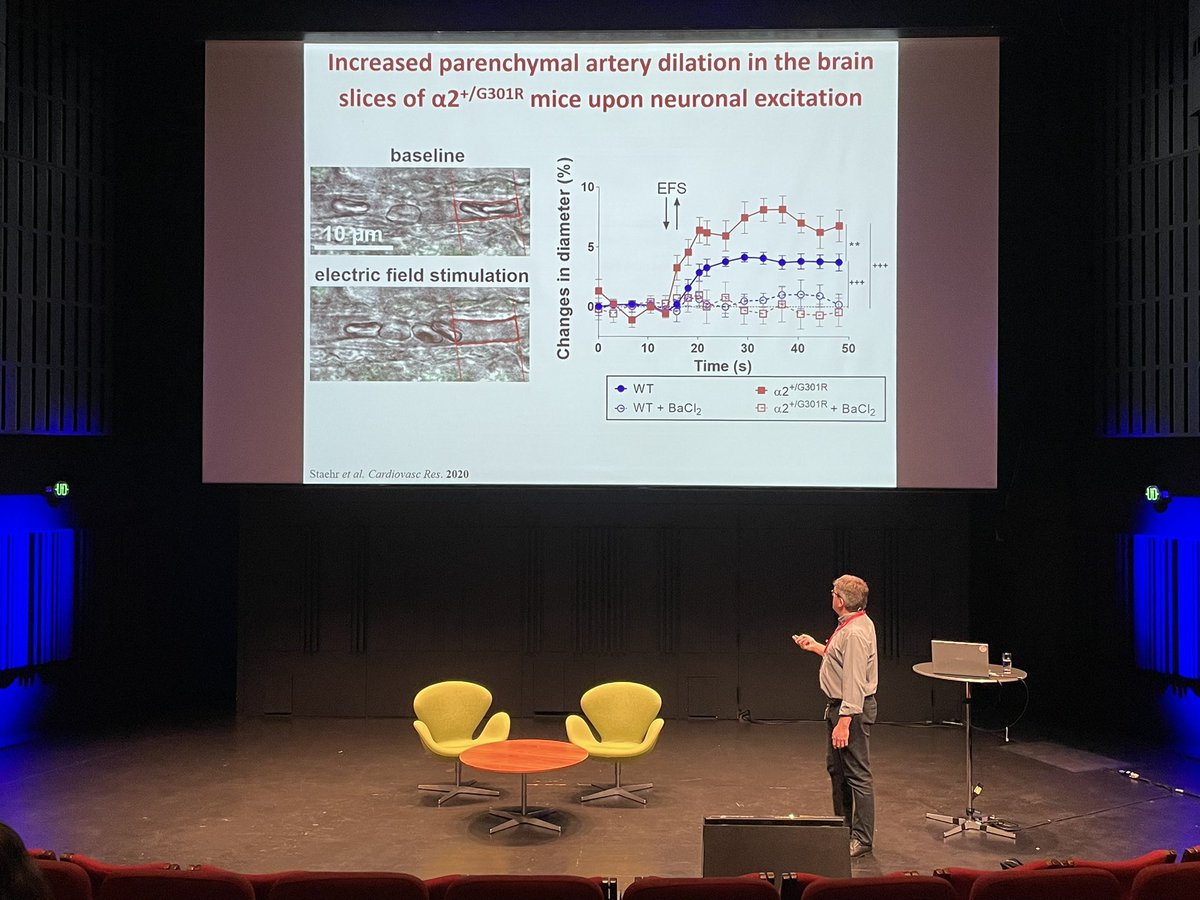 ChrStaehr's tweet photo. Right now at #ESM23, @matchkov presenting our data on #migraine-associated disturbance in cerebral perfusion and #neurovascular coupling. Implications on the Na,K-ATPase.

Link to papers:
JCBFM: https://t.co/6zY0yfXHcJ

Cardiovascular Research: https://t.co/0WpLf5Akkj https://t.co/jEYYHPqiMr