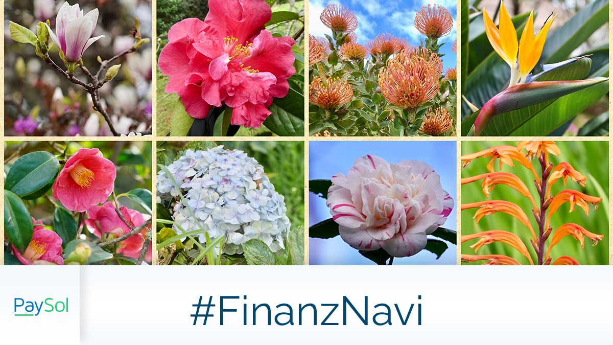 Frühlingsgefühle im #Urlaub
Das #FinanzNavi führt mich immer wieder an faszinierende Orte. 
Hier sind die schönsten #Reiseziele für den #Frühling. 👇
paysol.de/klick/odkbz