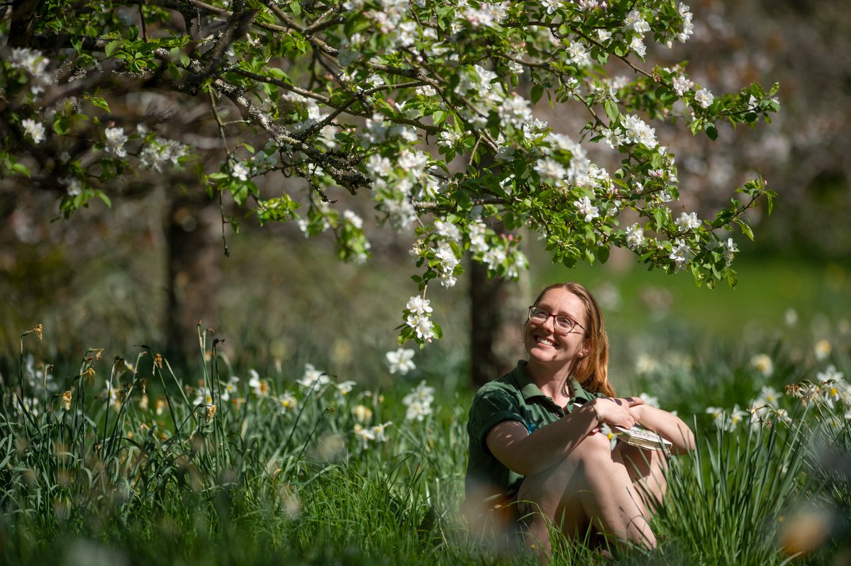 Bring a blanket, book or picnic and relax beneath the blossom. There is nowhere else we would rather be than here this afternoon!

Share your pictures with us too! #FestivalOfBlossom #BlossomWatch

Photo by Steve Haywood