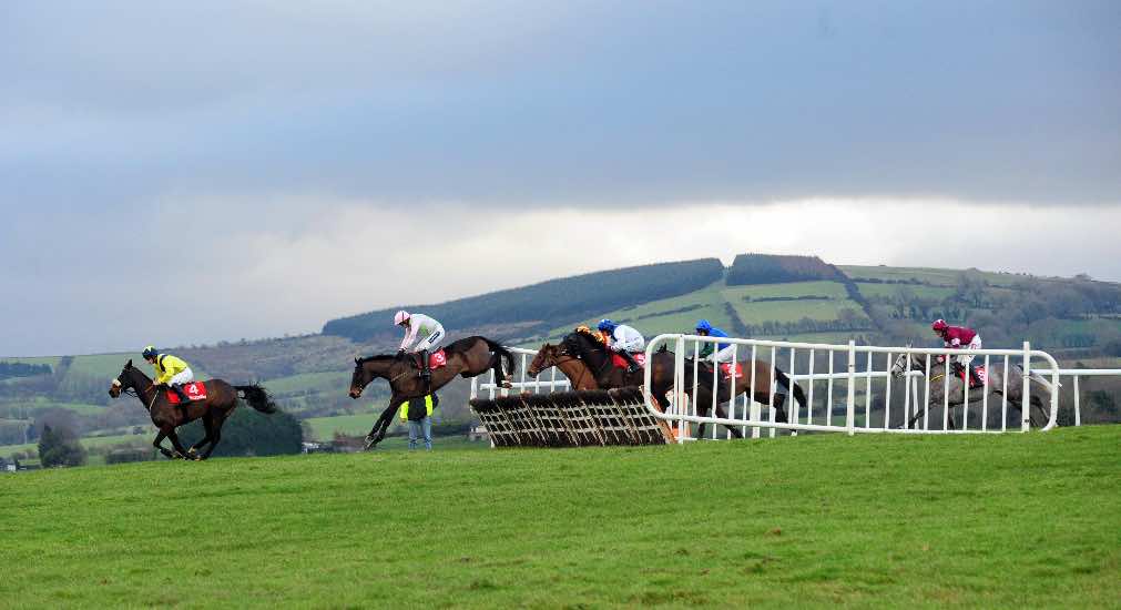 Would you prefer a day out to watch Jump Racing @punchestownrace or the flat racing @EpsomRacecourse?🧐

#FlatRacing 🇬🇧
#JumpRacing🇮🇪