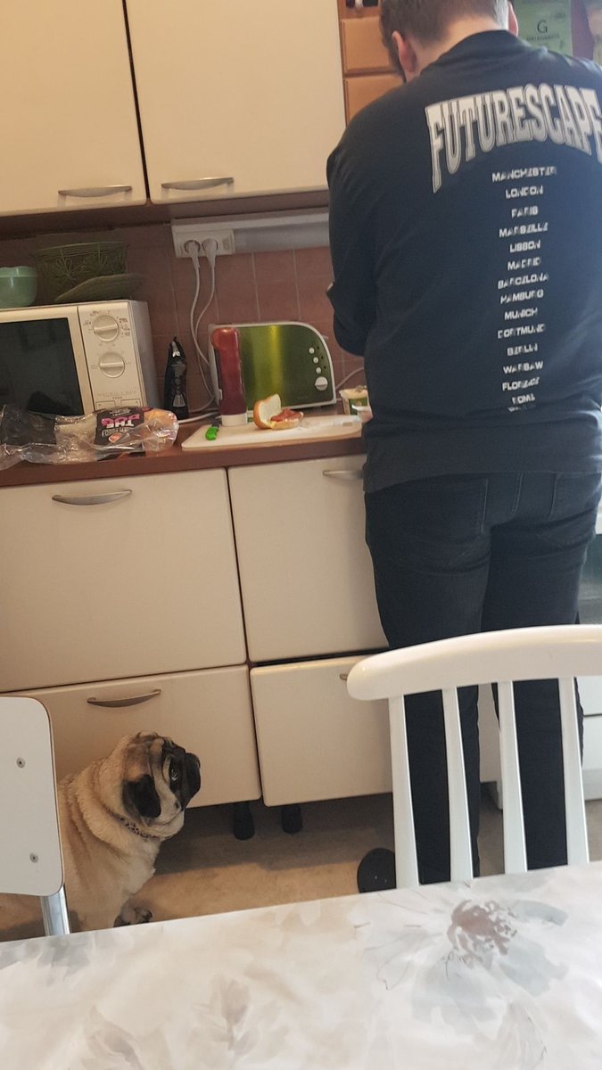 Little helper in the hostel today while James cooks his hot dogs for the like 5th time since being here :) <a href="/gifhe/">Grimsby Institute</a> <a href="/EUErasmusPlus/">Erasmus+</a> #erasmus23