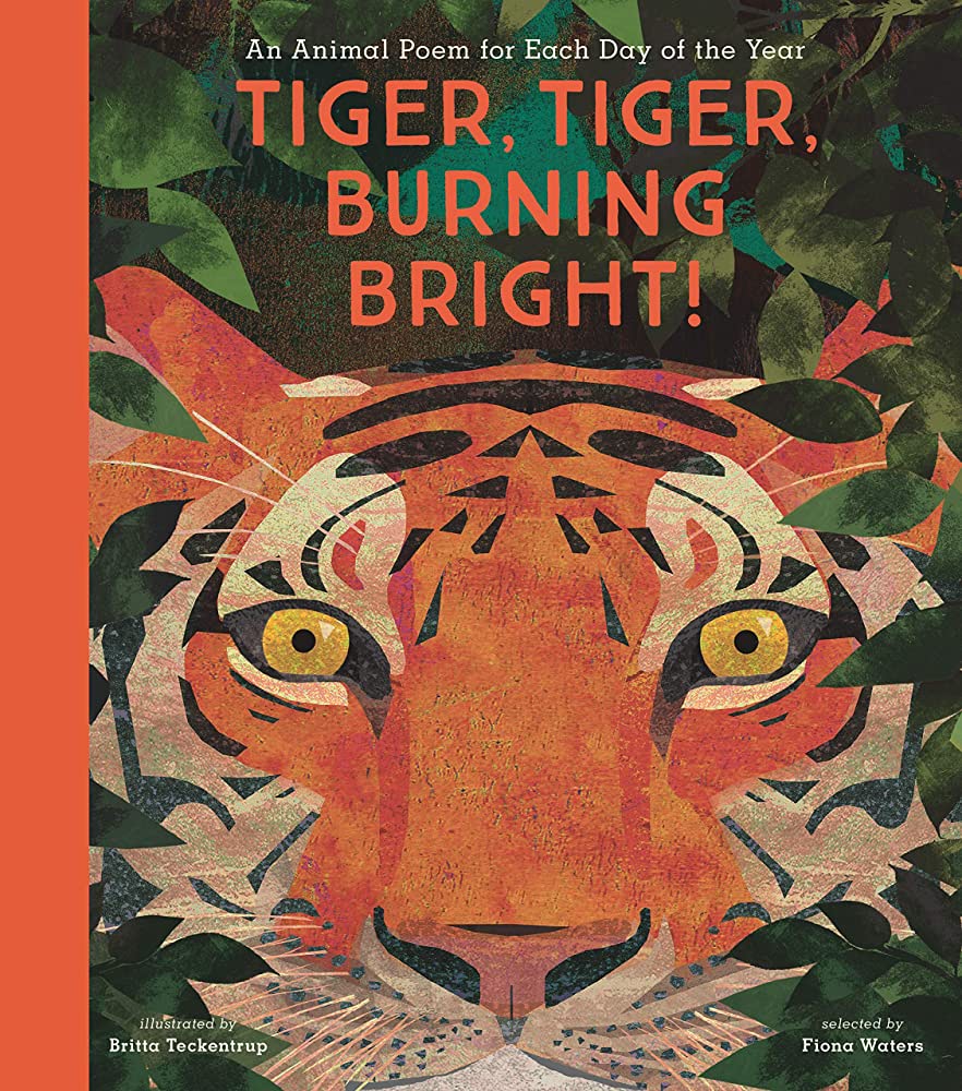PrimroseLibrary's tweet image. April is National Poetry Month, but with our #readoftheweek, &quot;Tiger, Tiger Burning Bright Tiger, Tiger, Burning Bright!: An Animal Poem for Each Day of the Year&quot; edited by Fiona Waters, you can read all year long.
