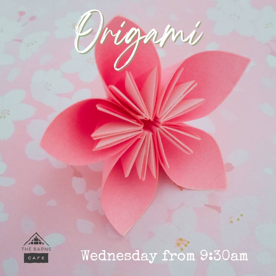 Tomomi will be here with origami - come along and have a go at making paper blossom.

All welcome!
#Abingdon #origami