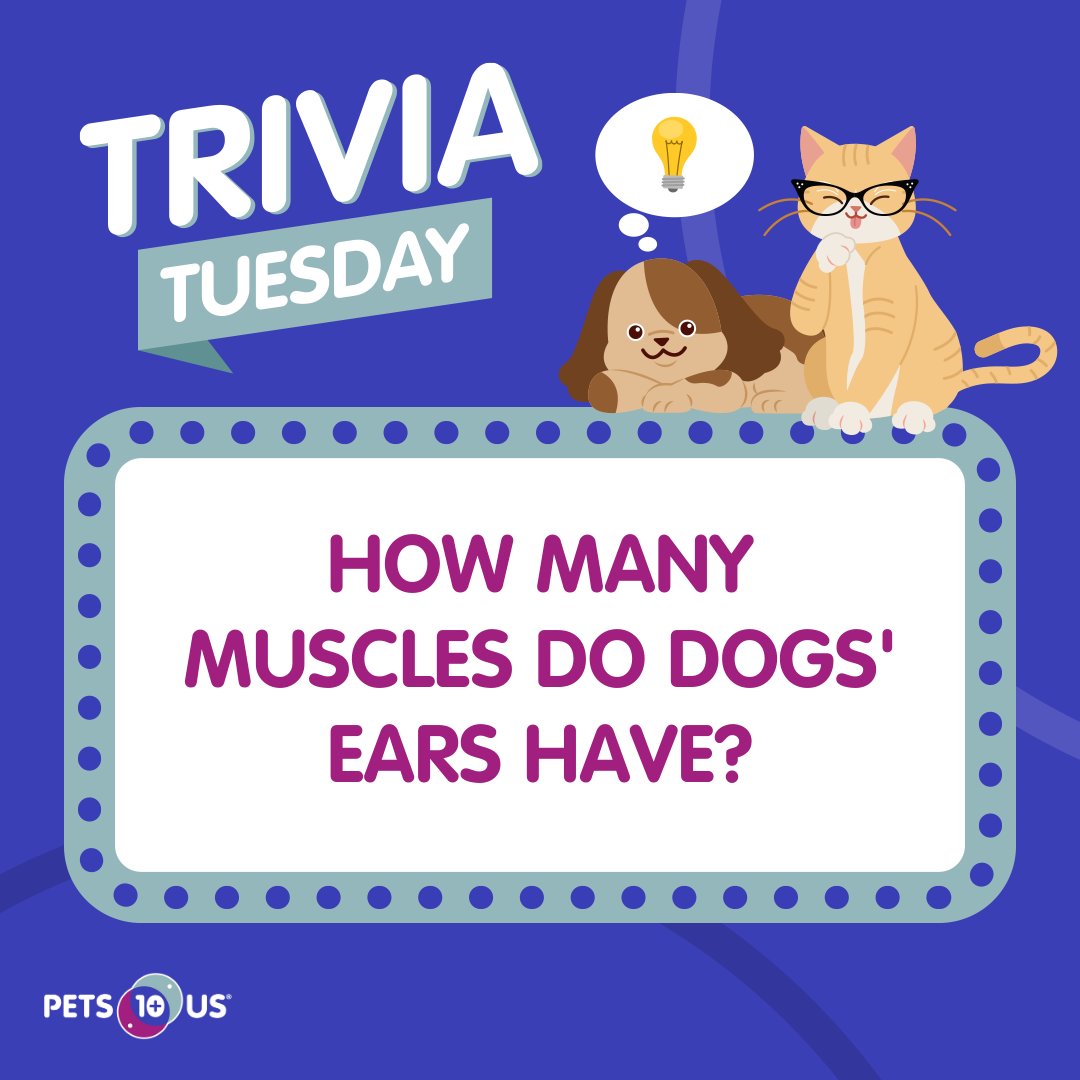 #Win a $25 PetSmart gift card! To enter, answer the question, retweet this post and follow <a href="/PetsPlusUsIns/">Pets Plus Us</a> by 11:59PM EST. Open to Canadian &amp; US residents (excluding QC). This contest is not sponsored, endorsed, administered by or associated with Twitter. bit.ly/3YYqvri