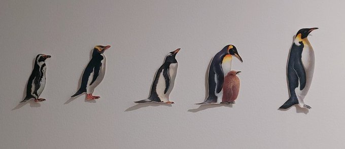 「ペンギンの日」のTwitter画像/イラスト(新着))
