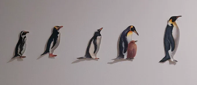 #世界ペンギンデー #世界ペンギンの日 #名古屋港水族館 ペンギン と、うちの壁