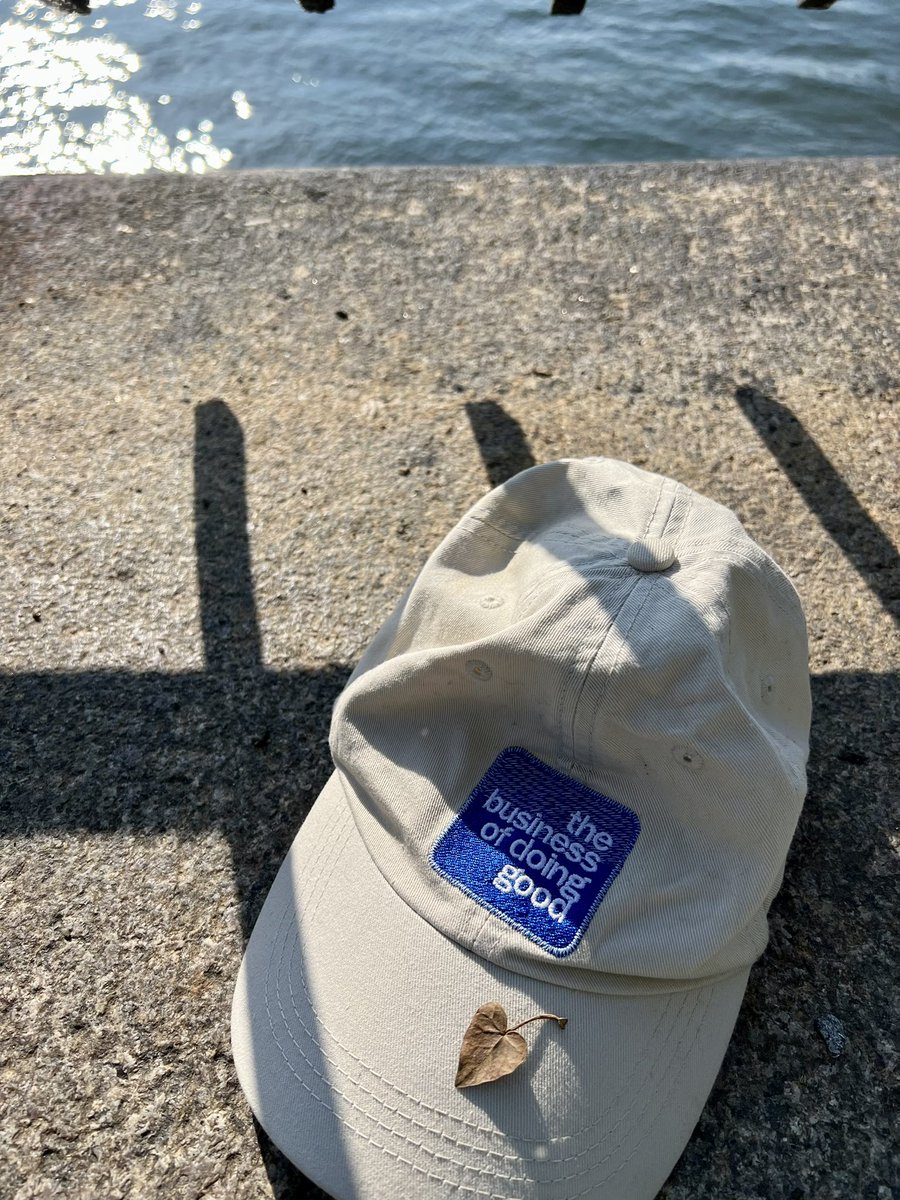 Anne Bahr Thompson tweet media