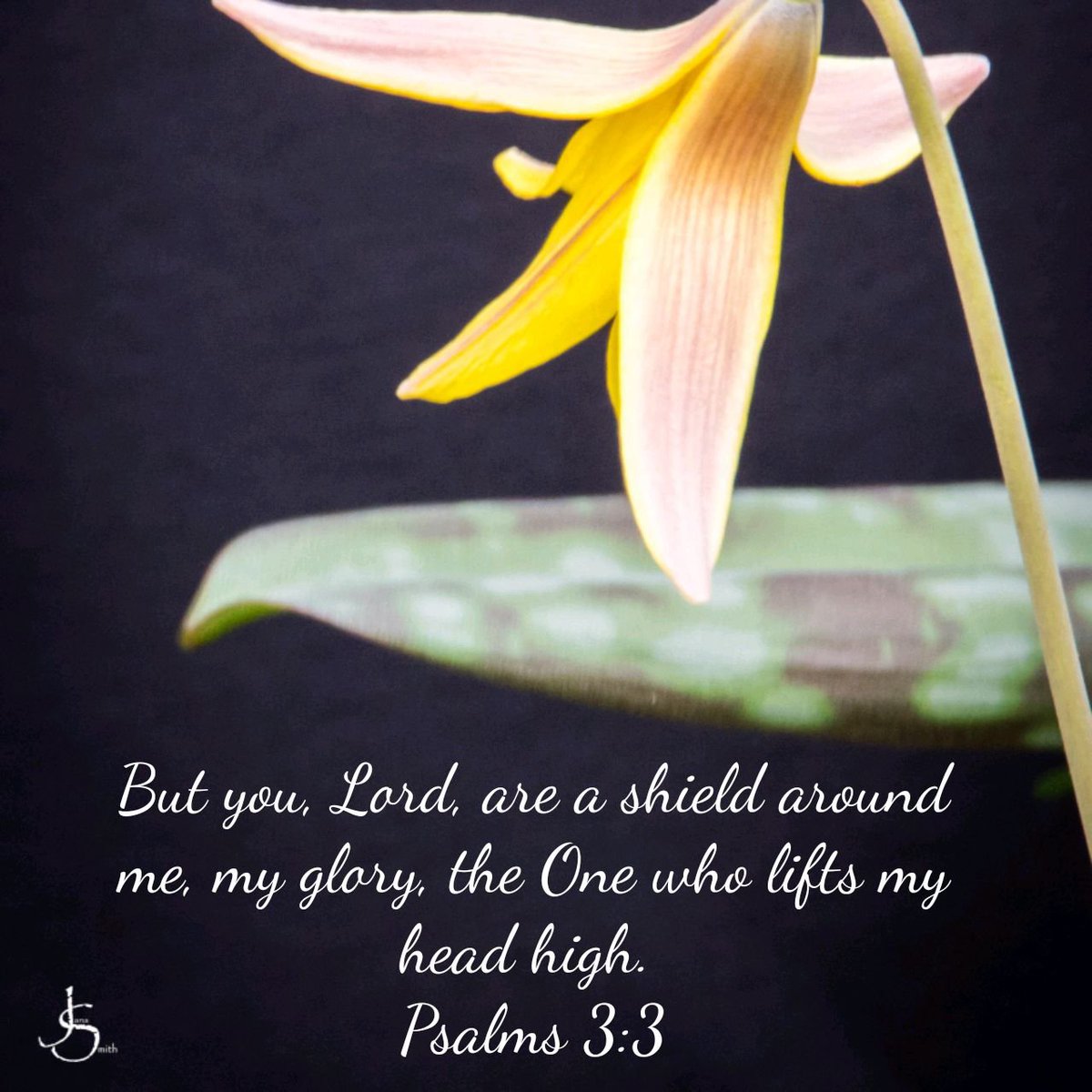 JanaSmithAuthor's tweet photo. We get our strength and power from God, enabling us to carry out His will. When we live in Him, he protects us and provides for our needs. Trust God for He will transform your life. Blessings,
#godismyshield #godismystrength #godismyprotector #jesusismysavior #janasmithauthor https://t.co/C4HYPrJuT2