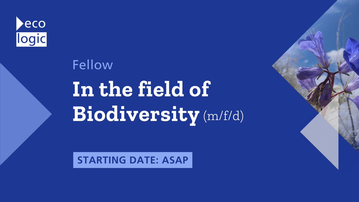 EcologicBerlin's tweet photo. 📢Hiring! We are still accepting applications for the #openposition in our #biodiversity team! Work on policy-related research projects focusing on #natureconservation and ecosystem restoration across the rural-urban landscapes!🏞️Apply today: https://t.co/pR4HuJYp1w https://t.co/ZekMFcBSBE