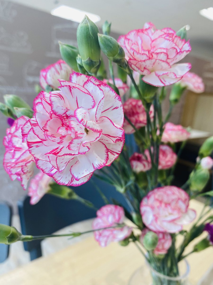 Sitting in a cafe and just noticed how beautiful carnations can be. I’ve always thought of them as a bit “old fashioned”! 😍 #TheEburyCollectionLifestyle #Tuesday #TuesdayThoughts #carnation #flowers #springlooks #TursdayMotivation
