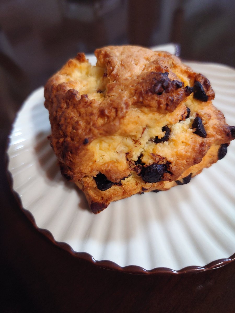 【マツコの知らない世界】焼きたて絶品スコーンの世界!今が見頃チューリップの世界!