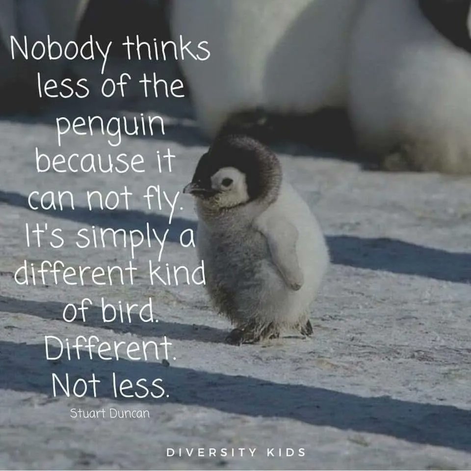 SuperPenguin tweet media