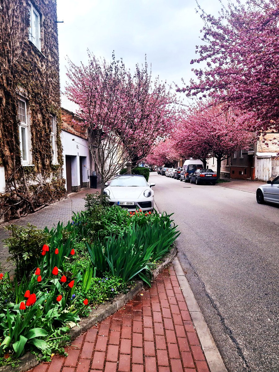 Brnosever's tweet image. Ulice Cacovická v Brně 🌸

#viafb #viděnovBrně #Brno