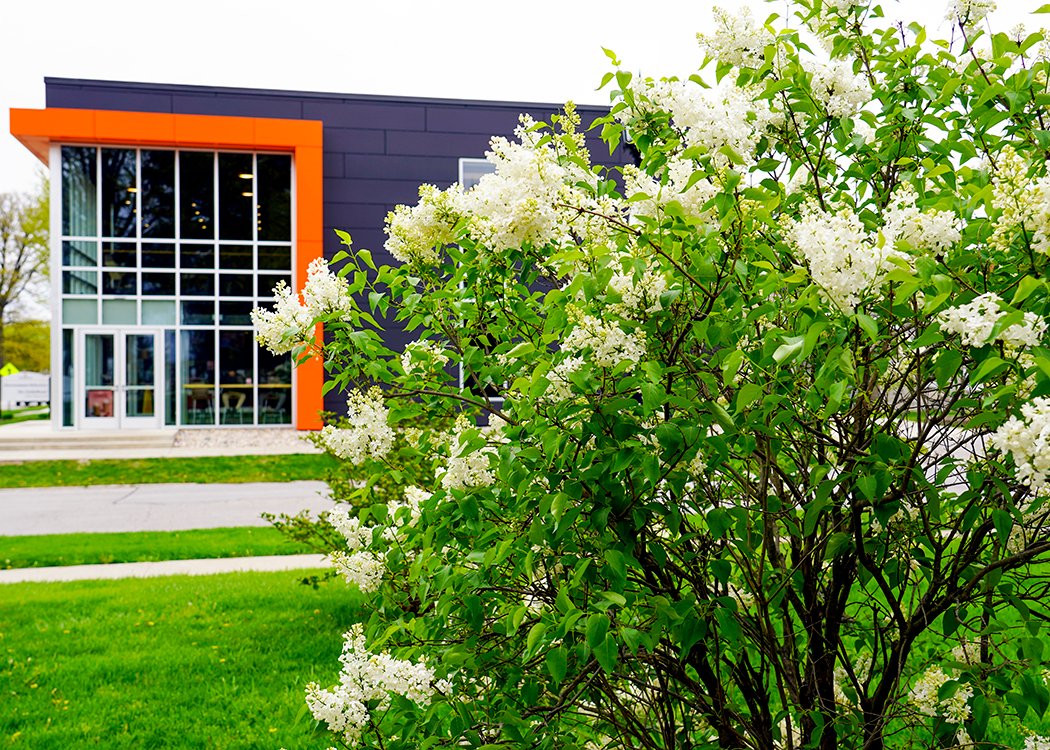 Heidelberg University's campus is in full bloom for the Spring Semester 2023.