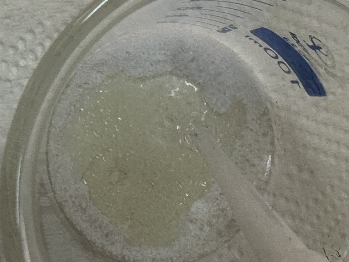KnightbusSci's tweet image. Some impromptu #microscale #chemistry with a restriction over the collection of chlorine gas but the need to demonstrate displacement reactions of halogens, KCl electrolysis comes to the rescue! Chlorine water added to potassium bromide gives a brown surface that absorbs bromine.
