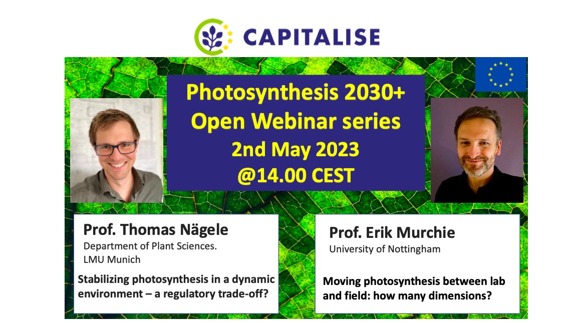 photosynth_2030's tweet photo. Do we need photorespiration for efficient photosynthesis? Join us at the Photosynthesis 2030+ webinar series and hear what Thomas Nägele @cell_biomaths @lifescimunich has to say. #photosynthesis #photorespiration. https://t.co/VKU7Xo9Qfn https://t.co/A6GQDaFNfB