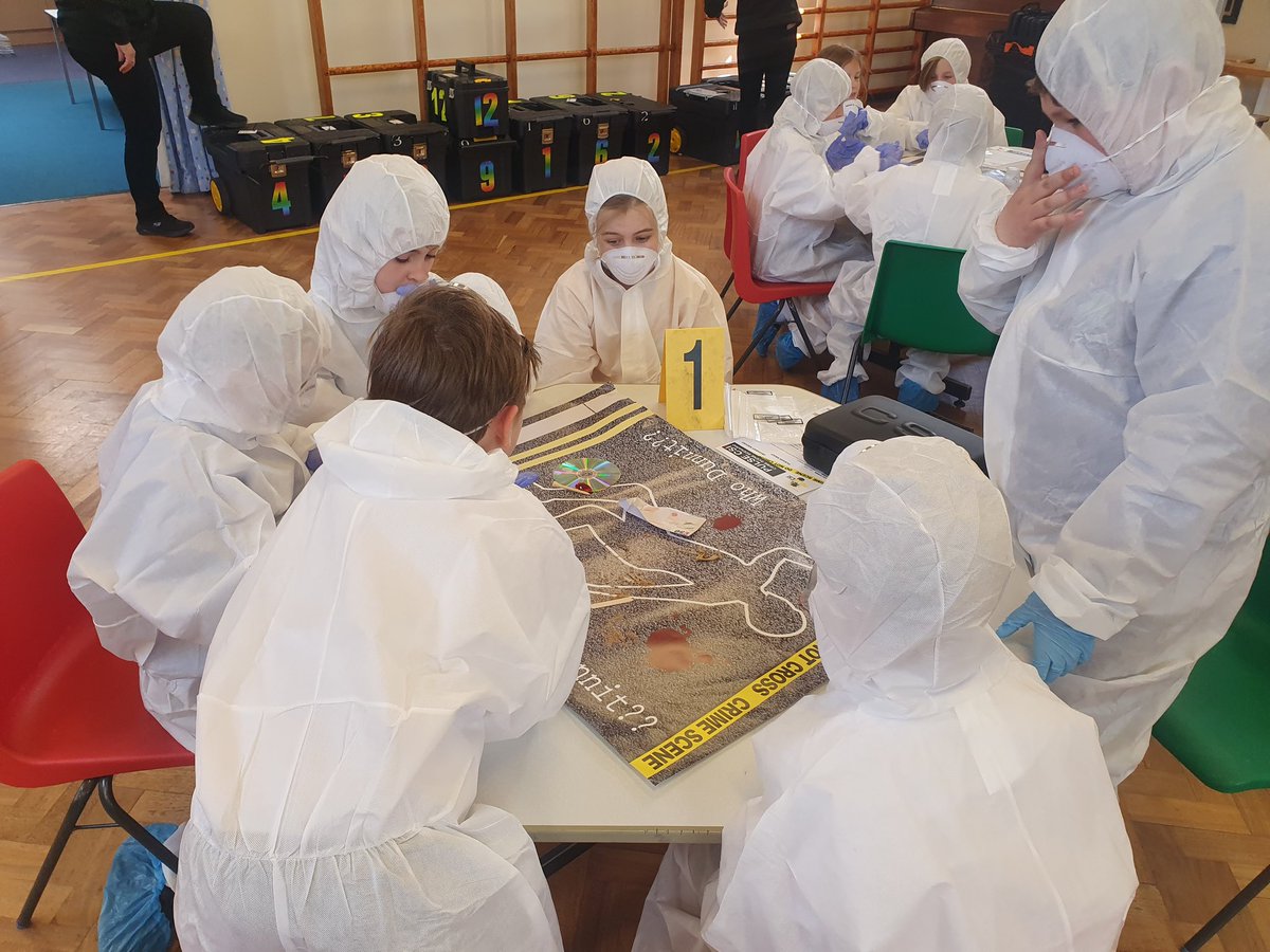 Y5Auckley tweet media