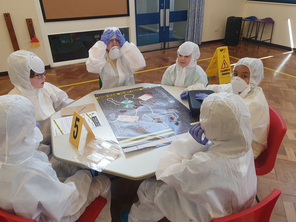 Y5Auckley tweet media