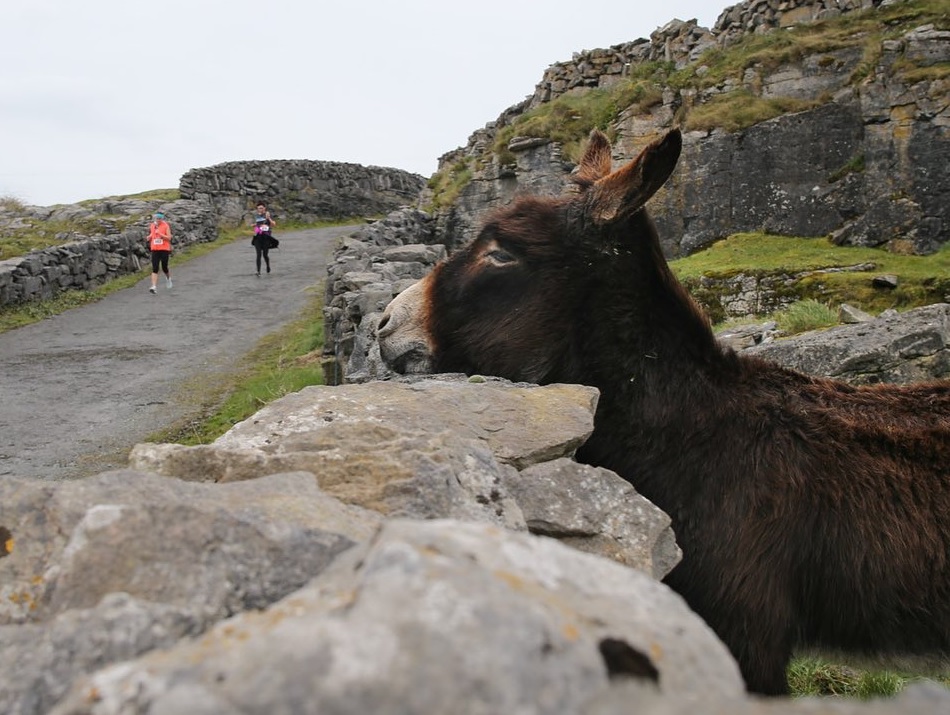 Beautiful Inis Meáin is the place to be this Saturday 29th April for their annual road race to raise funds for Coláiste Naomh Eoin. Choice of 5k, 10k and 12km routes. Register here: bit.ly/40GQNyS
15% off Doolin Ferry sailings on the day with code IIM23 #inisironmeain