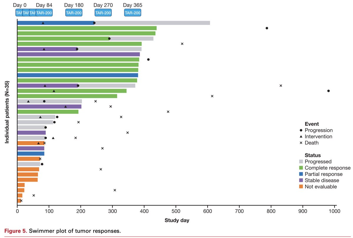 DrFelixGuerrero's tweet image. 📝 Happy to share our paper at @JUrology reporting results of TAR-200-103 phase I trial w/ TAR-200 in #MIBC unfit for cystectomy
👥 Collaboration w/ @RodriguezFaba @joanfundi among others
🤓 Take a look: shorturl.at/sHUW5
😃 Exciting times ahead for #bladdercancer patients