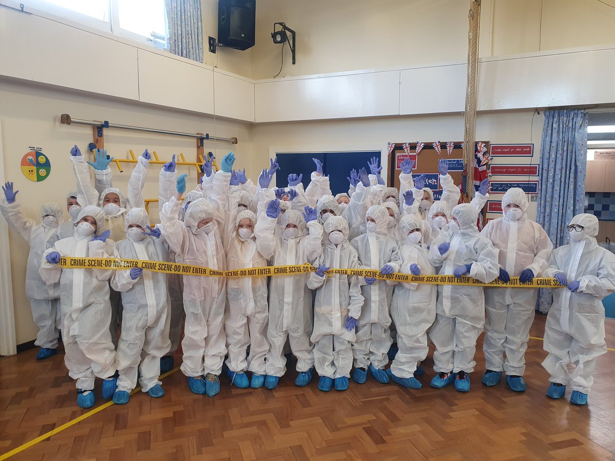Y5Auckley tweet media